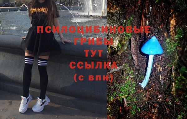 ECSTASY Абдулино