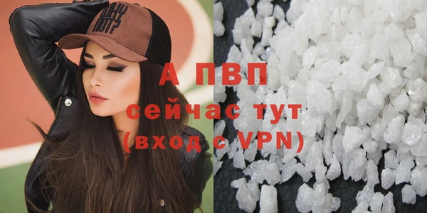 PSILOCYBIN Абаза