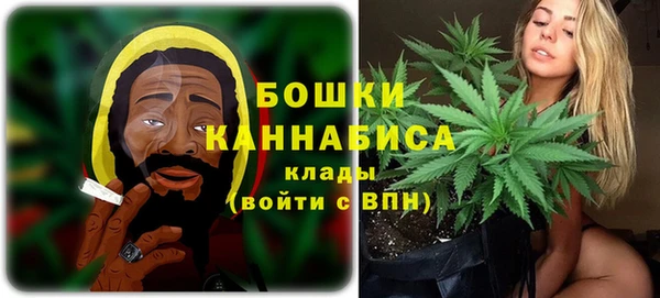 PSILOCYBIN Абаза