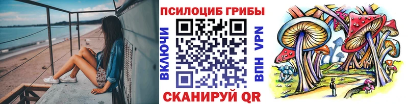 цены   Староминская  Псилоцибиновые грибы Cubensis 